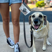 Small 1-cup lightweight leakproof reusable pet clip-on bag – stand-up carabiner pouch for daily walks, hiking, and outings with your dog