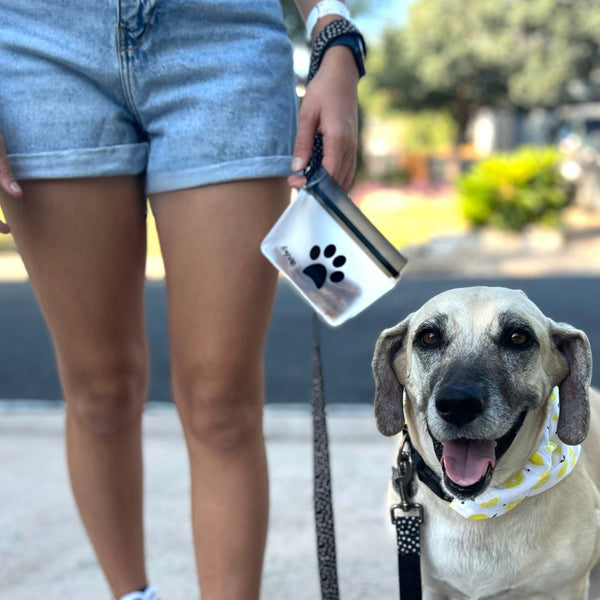 Small 1-cup lightweight leakproof reusable pet clip-on bag – stand-up carabiner pouch for daily walks, hiking, and outings with your dog