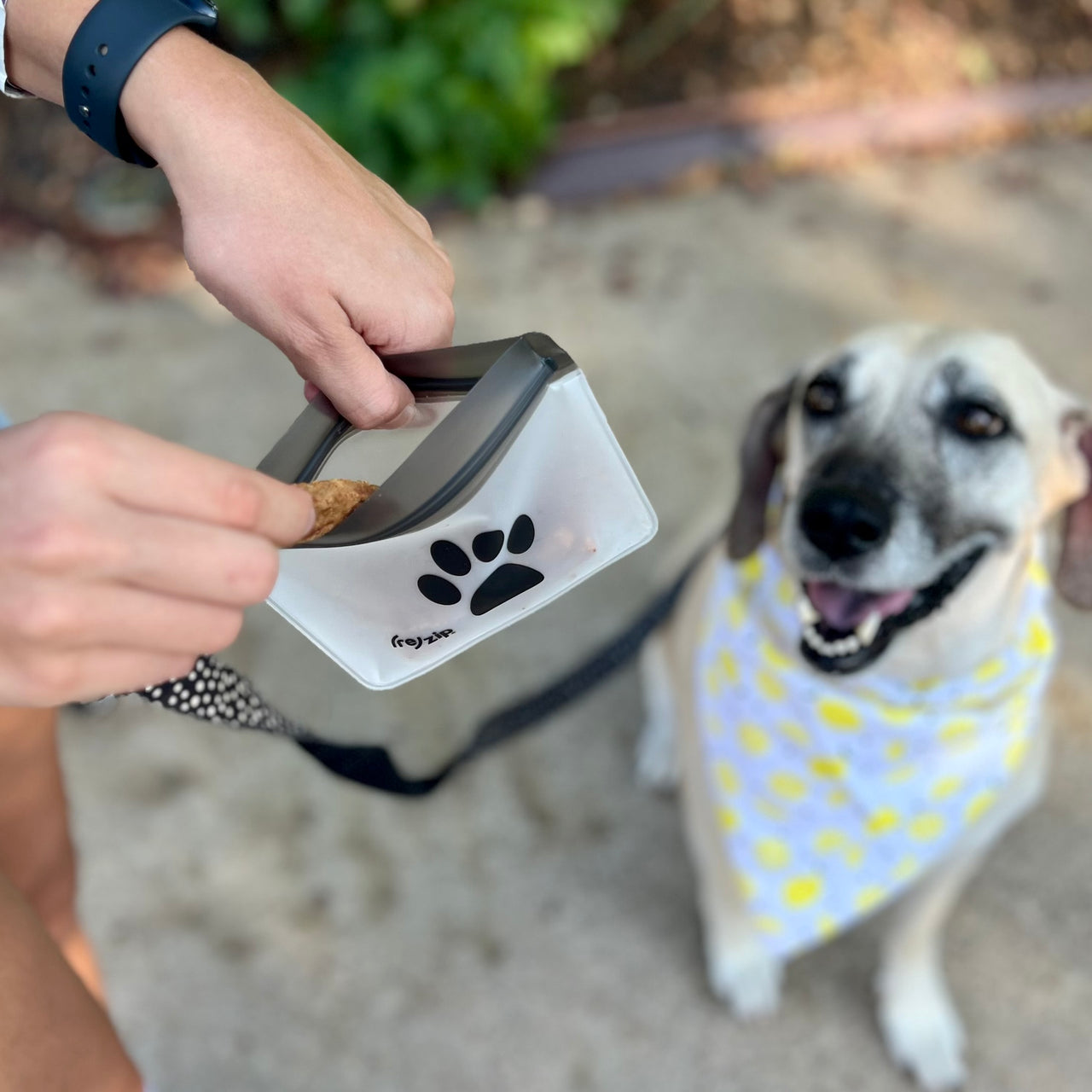 1-cup leakproof reusable clip on carabiner pouch for treats, keys, and poop bags for walks, parks, and road trips