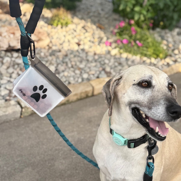 Reusable Take Me Too Pet Bags + 2 Carabiners
