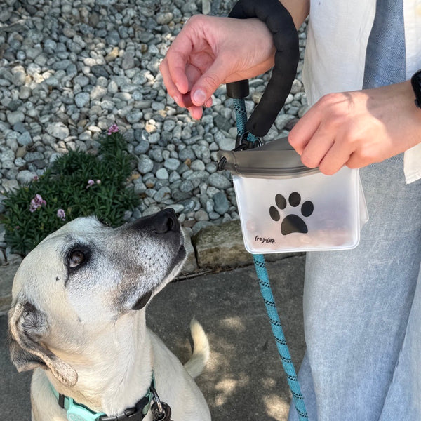 Waterproof and leakproof carabiner treat bag keeps treats fresh.