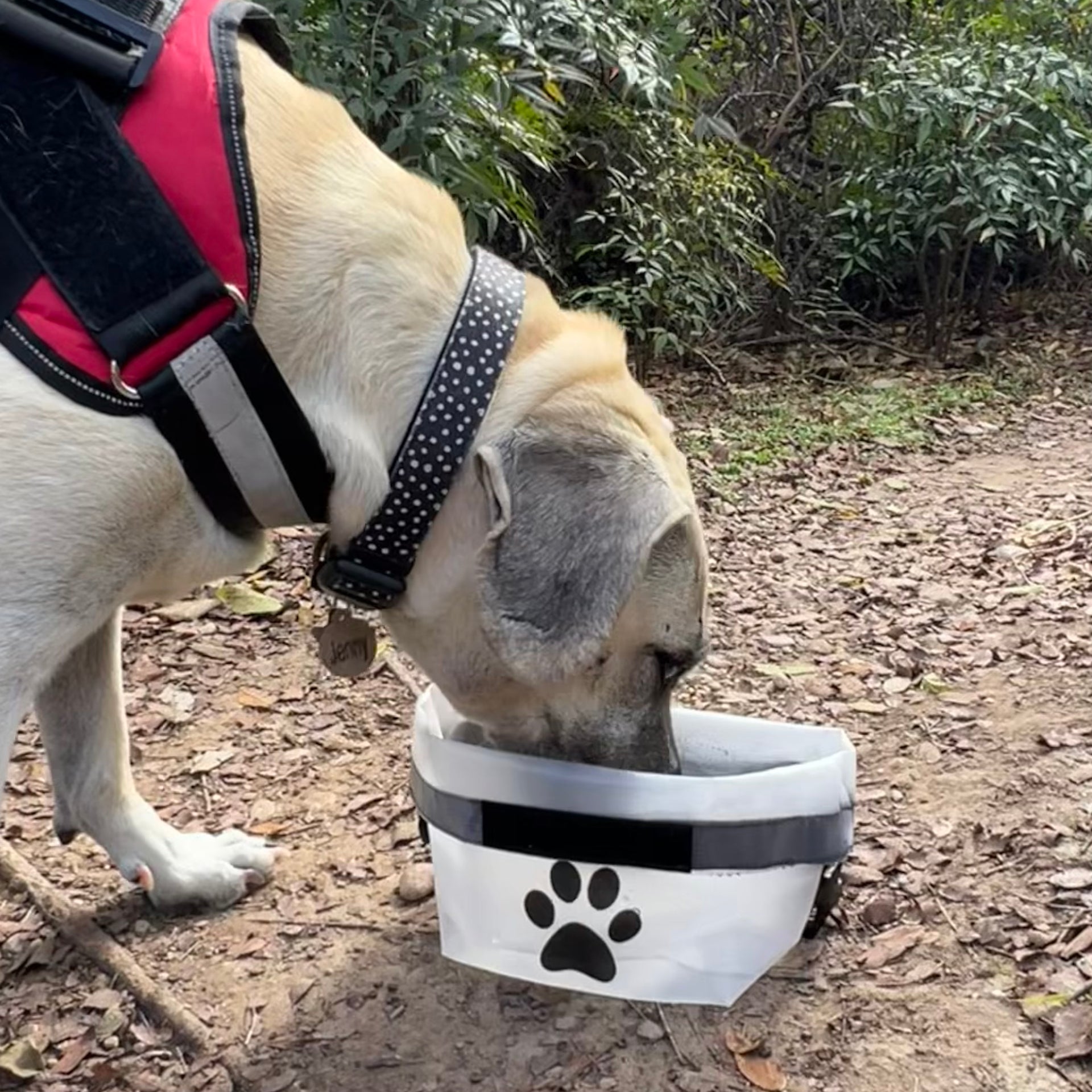 Portable Collapsible Dog Food Storage Bag / Feeding Water Bowl