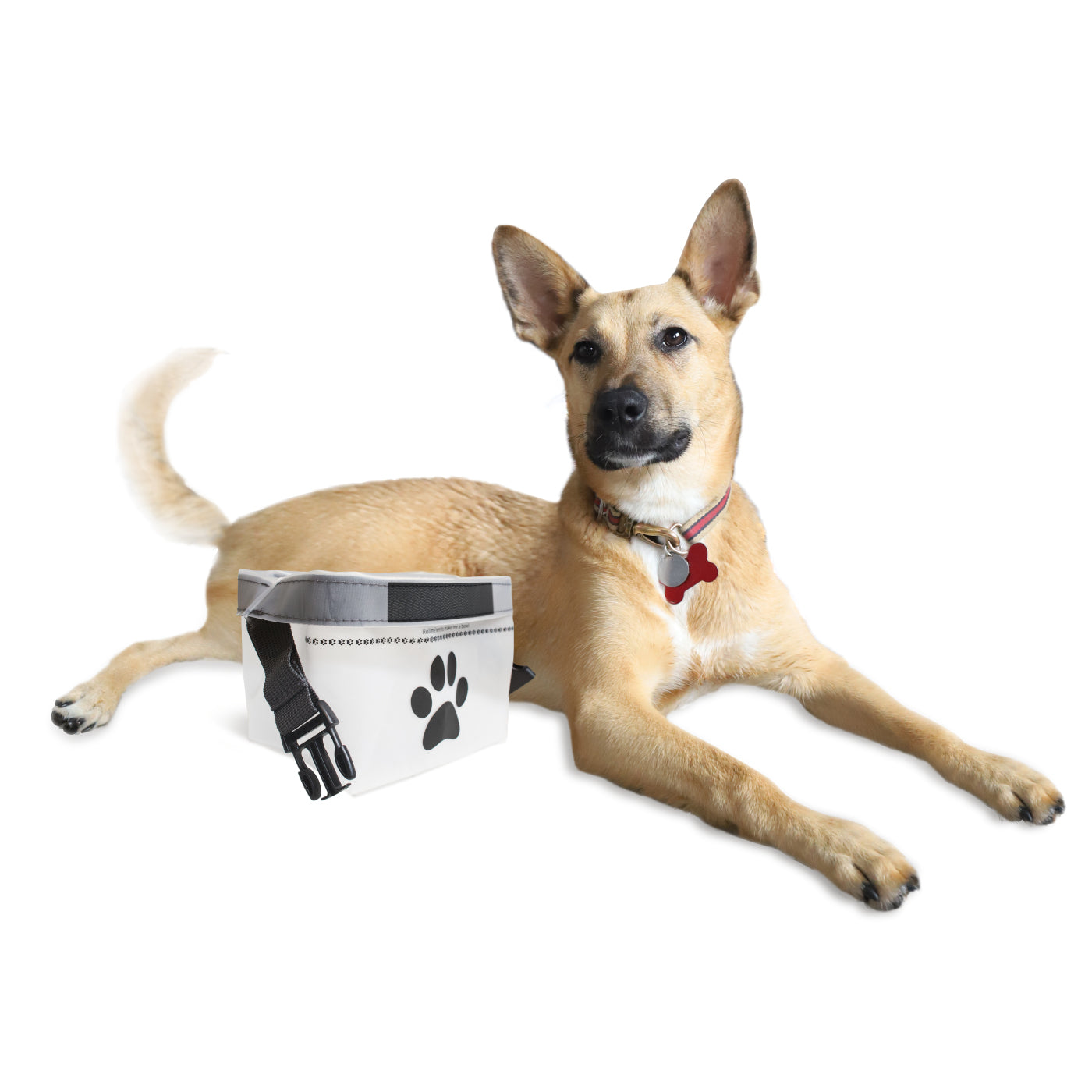 Portable Collapsible Dog Food Storage Bag / Feeding Watering Bowl