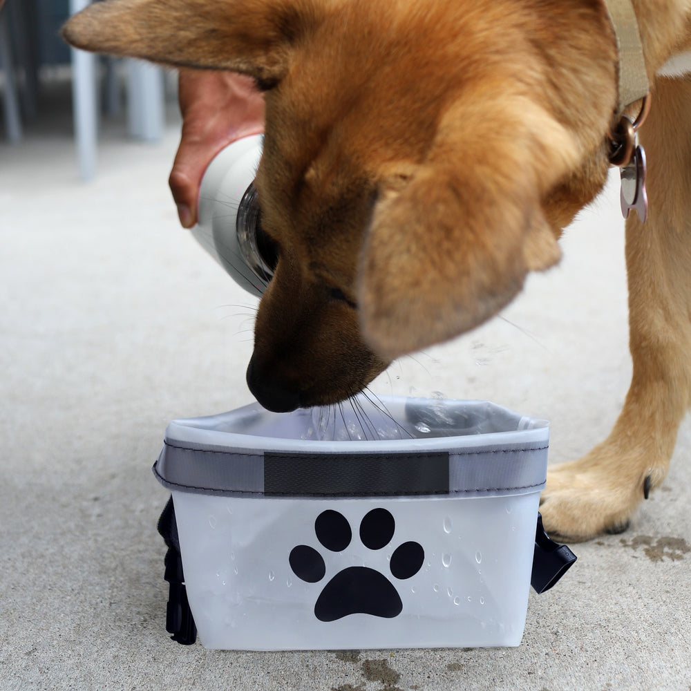 Portable collapsible dog food storage bag and foldable travel water bowl for pets – lightweight, space-saving, reusable feeding solution for dogs on the go, hiking, camping, trips