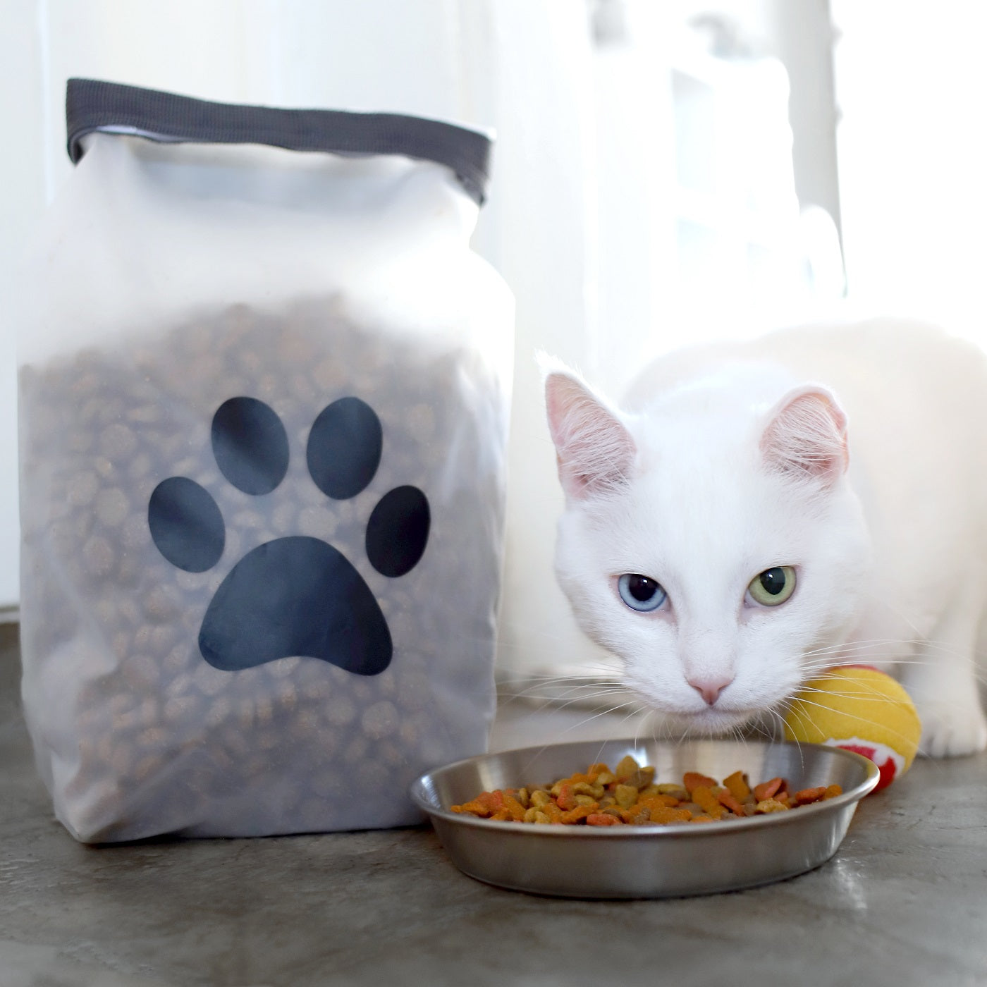 Cat hotsell biscuit storage