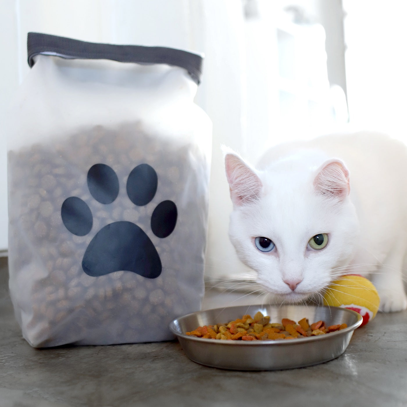 Reusable pet food storage bag, perfect for an overnight, weekend trip, or more with cats and dogs.